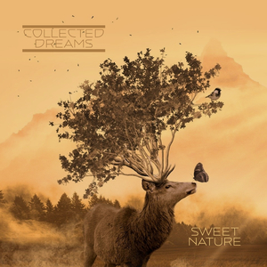 国产破处视频在线观看
