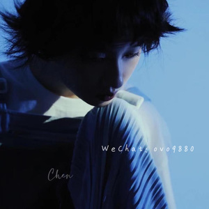 国产破处视频在线观看
