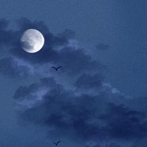 国产破处视频在线观看
