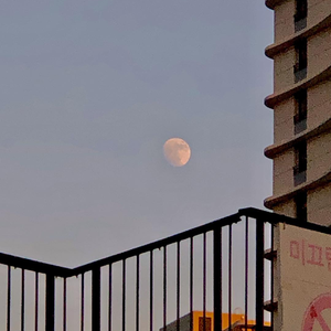 国产破处视频在线观看
